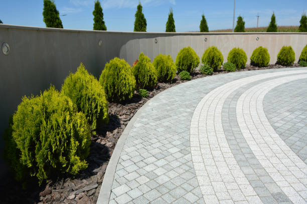 Best Custom Driveway Pavers  in East Berwick, PA